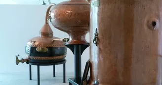 Musée des savoir-faire du cognac - Les Distillateurs Culturels Musée des savoir-faire du cognac - Les Distillateurs Culturels