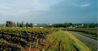 Domaine Pautier Pineau Domaine Pautier Pineau