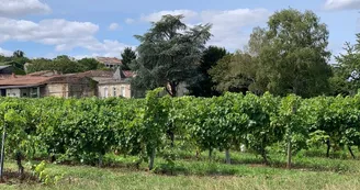 Cognac François Peyrot Cognac François Peyrot