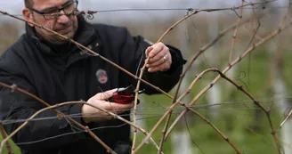 Cognac François Peyrot Cognac François Peyrot