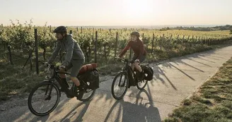 Location Vélos Charente Location Vélos Charente