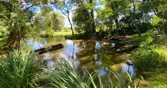 Location Vélos Charente Location Vélos Charente