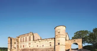 Château de Bouteville Château de Bouteville