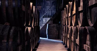 Delamain Cognac Delamain Cognac