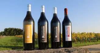 Domaine Montansier Domaine Montansier
