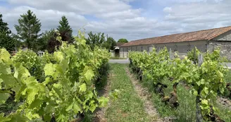 Cognac Légier