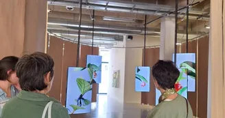 JEP | Expositions Le Singe et l'Argile | Planctonarium
