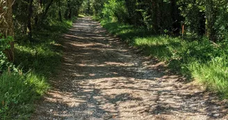 Circuit des Chaumes