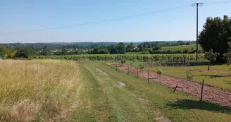 Circuit du Bain des Dames | Châteauneuf-sur-Charente Circuit du Bain des Dames | Châteauneuf-sur-Charente
