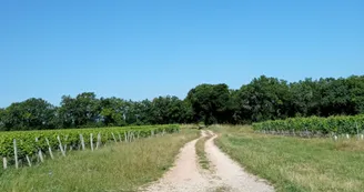 Circuit du Bain des Dames | Châteauneuf-sur-Charente Circuit du Bain des Dames | Châteauneuf-sur-Charente