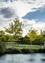 Circuit | Chemin des prairies | Graves-St-Amant