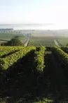 Tesseron Cognac